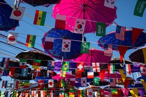 Photo of banners displaying a wide range of national flags